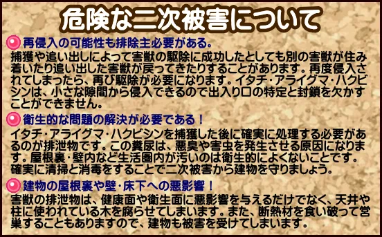 足音や物音・鳴き声の原因調査