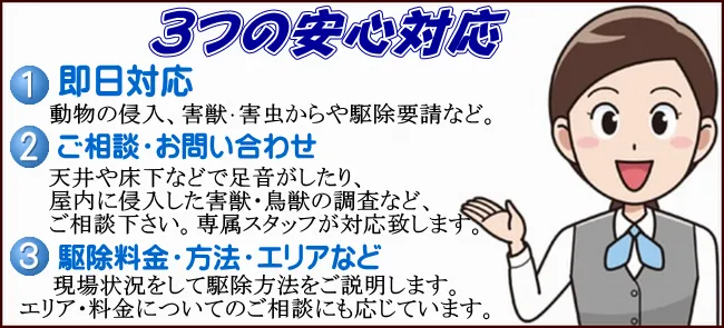 天井からネズミの足音や動物臭の殺菌消毒
