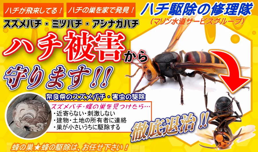 奈良市のハチ駆除業者