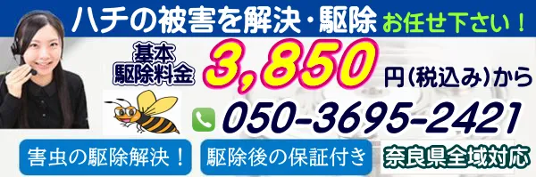 天理市のハチ・巣を駆除する業者